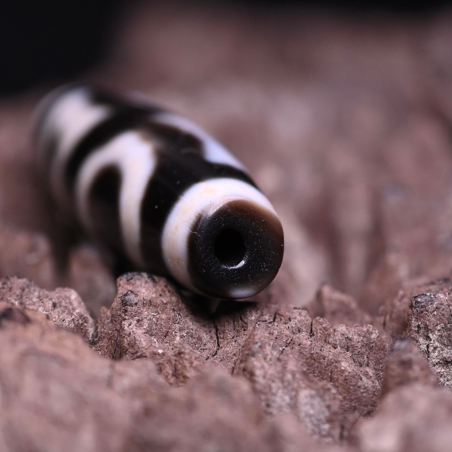 Double Heaven and Earth Dzi Bead（Heritage-Inspired Dzi Bead - Master Craft & Premium Materials）