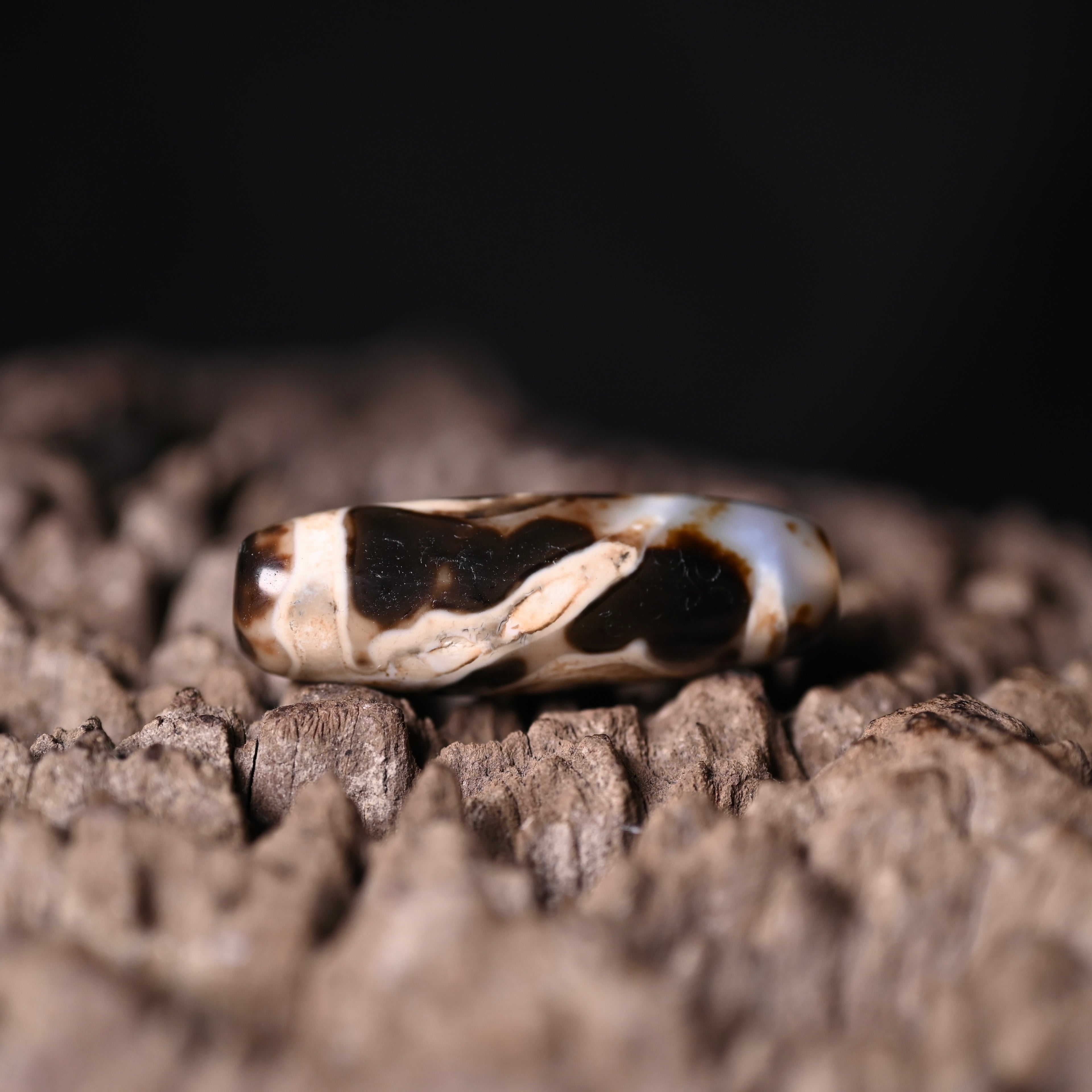 Rainbow Double Buddha Eyes Dzi Bead（Collector's Tier Vintage Collector Dzi - One-of-a-Kind Bead with Patina & Soul）