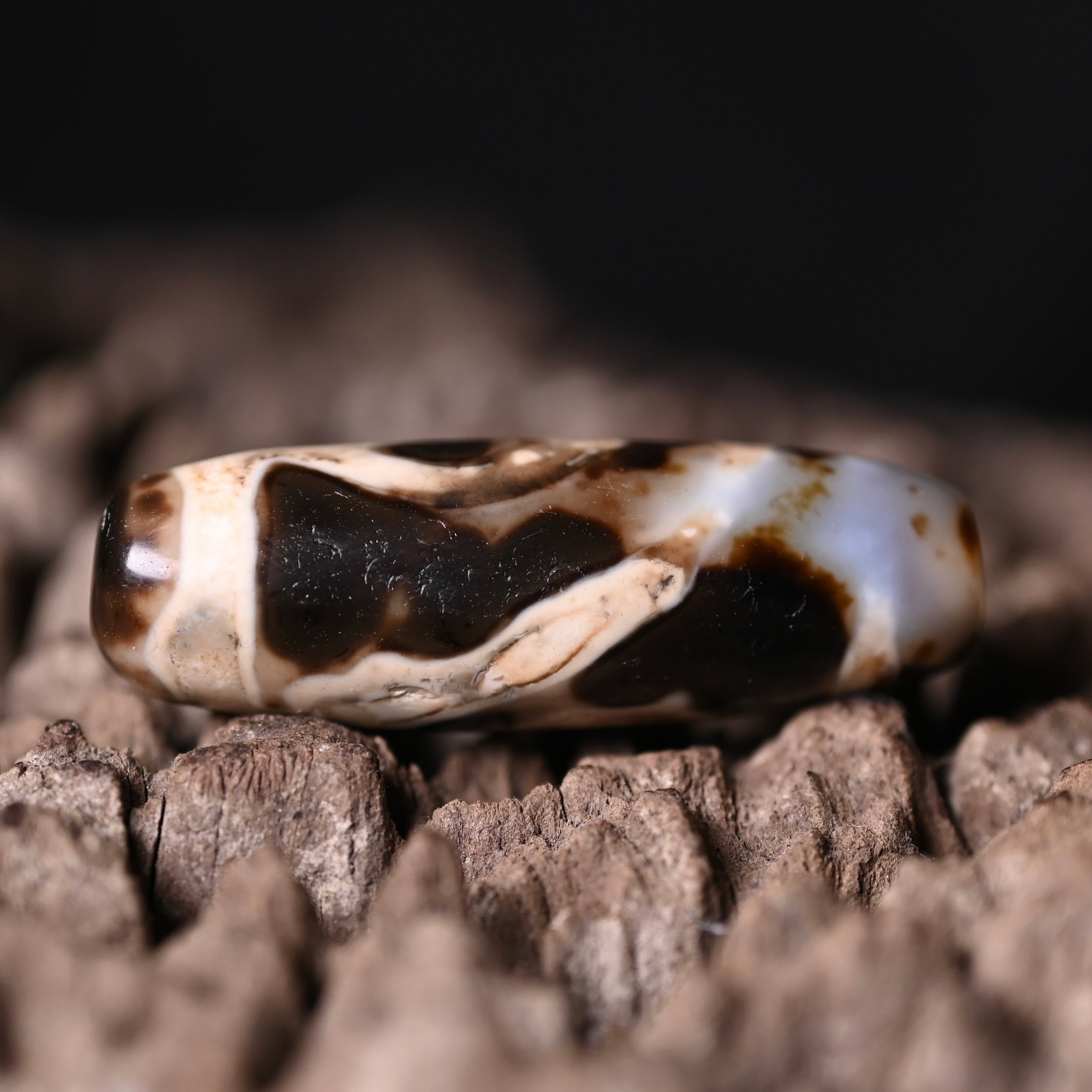 Rainbow Double Buddha Eyes Dzi Bead（Collector's Tier Vintage Collector Dzi - One-of-a-Kind Bead with Patina & Soul）