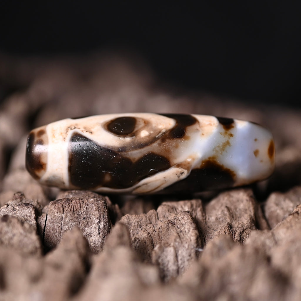 Rainbow Double Buddha Eyes Dzi Bead（Collector's Tier Vintage Collector Dzi - One-of-a-Kind Bead with Patina & Soul）