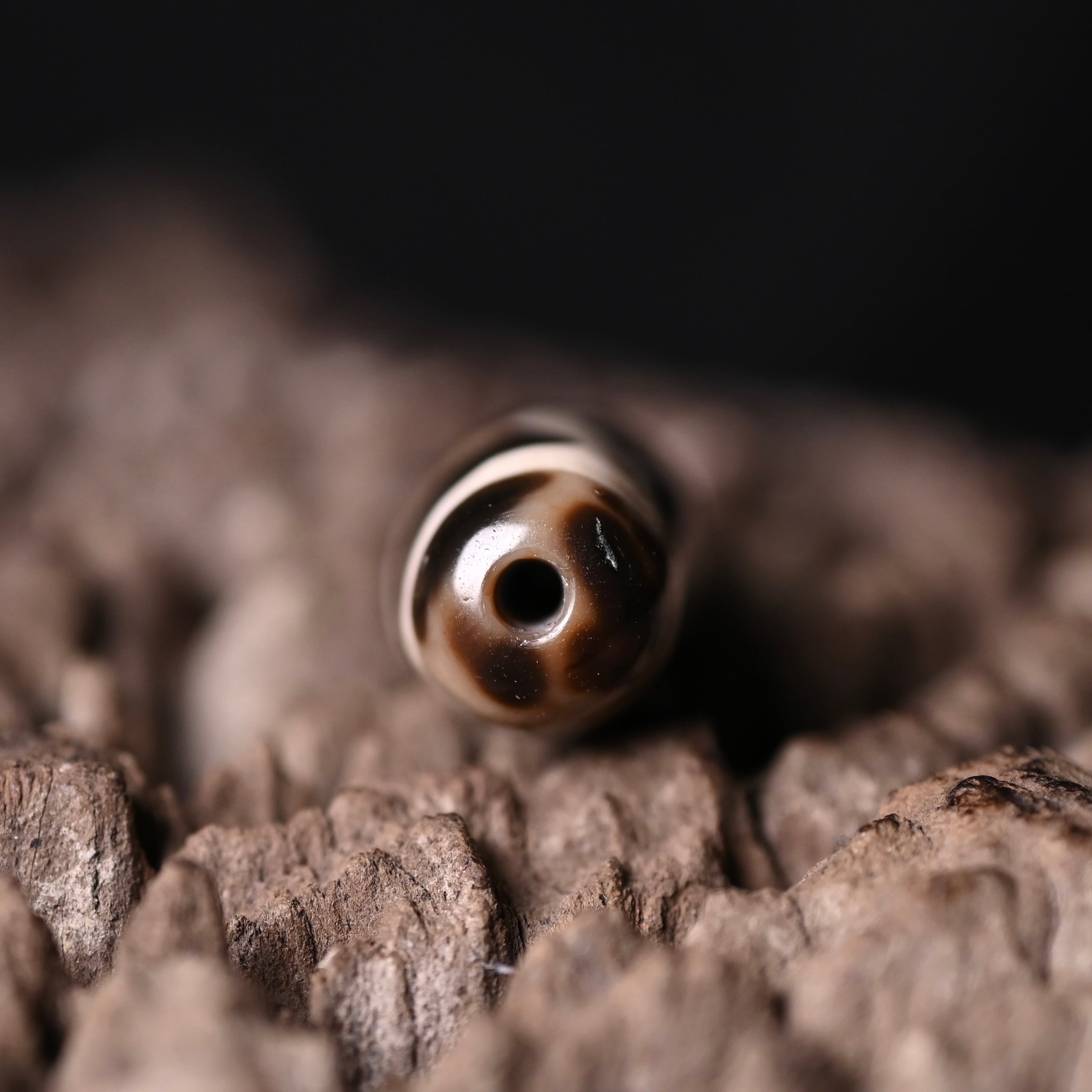 Rainbow Double Buddha Eyes Dzi Bead（Collector's Tier Vintage Collector Dzi - One-of-a-Kind Bead with Patina & Soul）